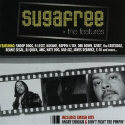 Cover of The Features V.1