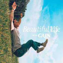 Cover of Beautiful Life