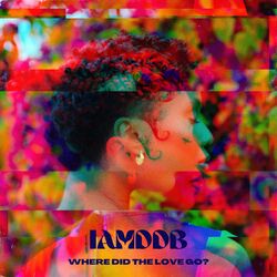 Cover of WHERE DiD THE LOVE GO?