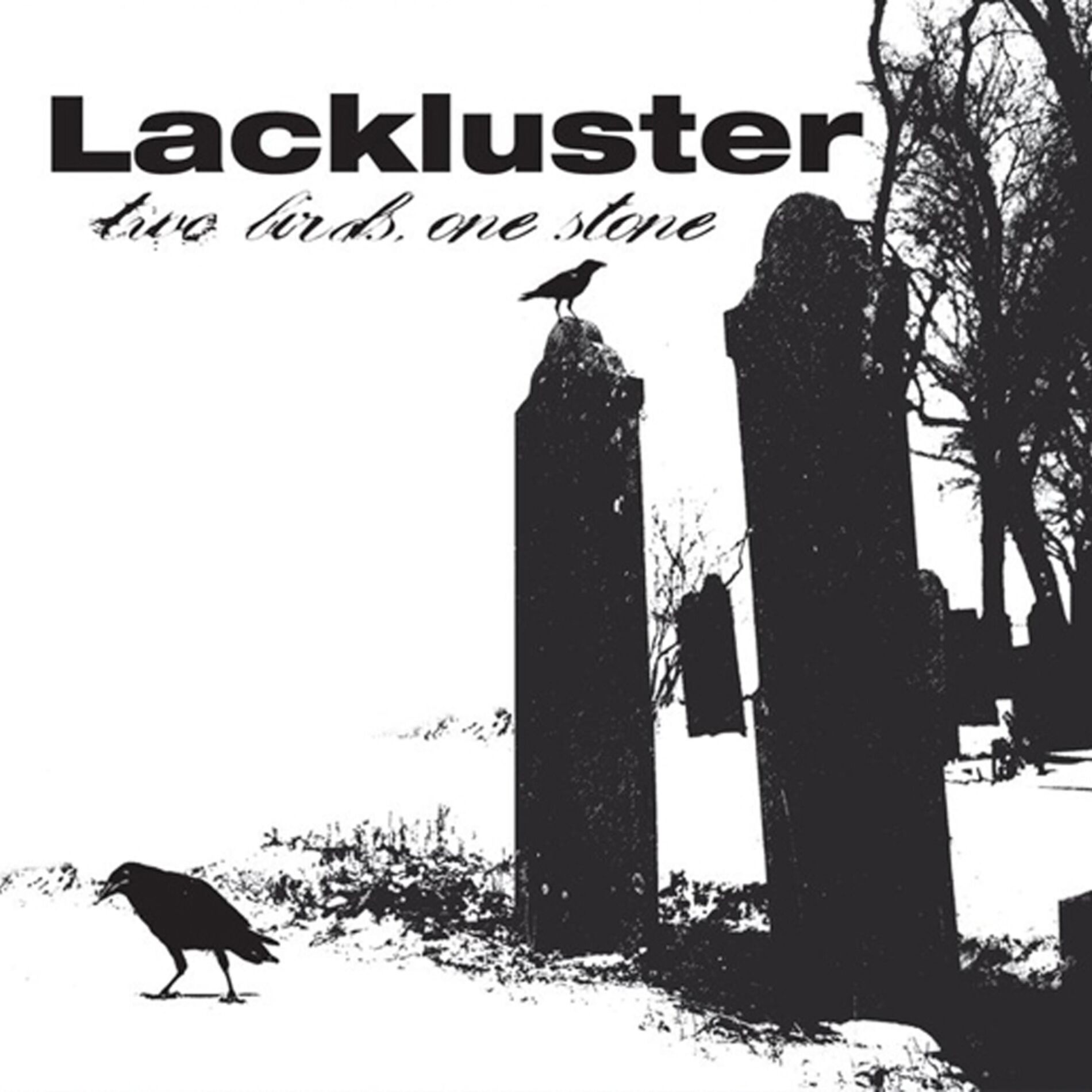 Album cover of Two Birds, One Stone