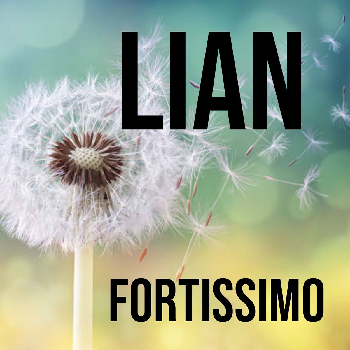 Album cover of Fortissimo