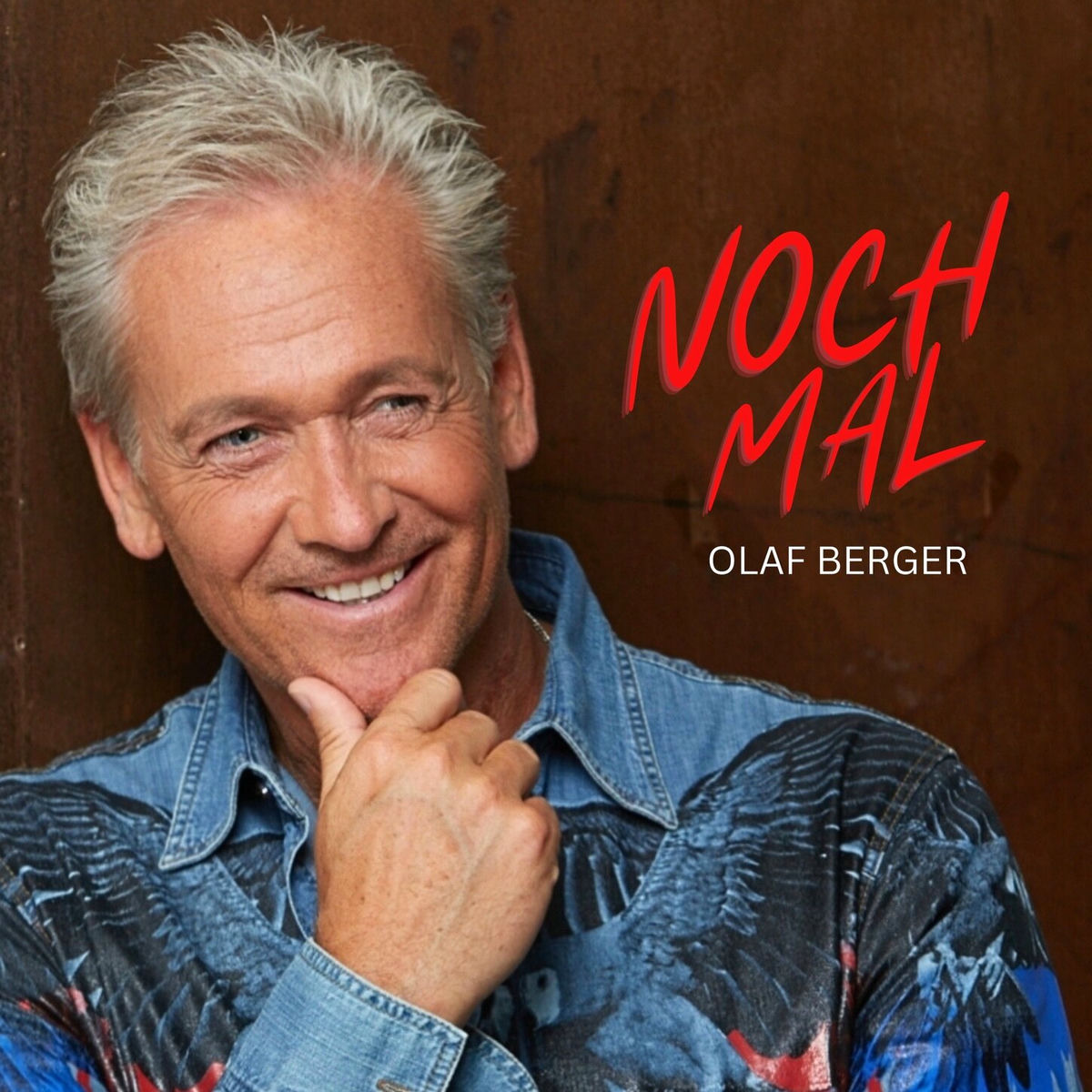 Album cover of Nochmal