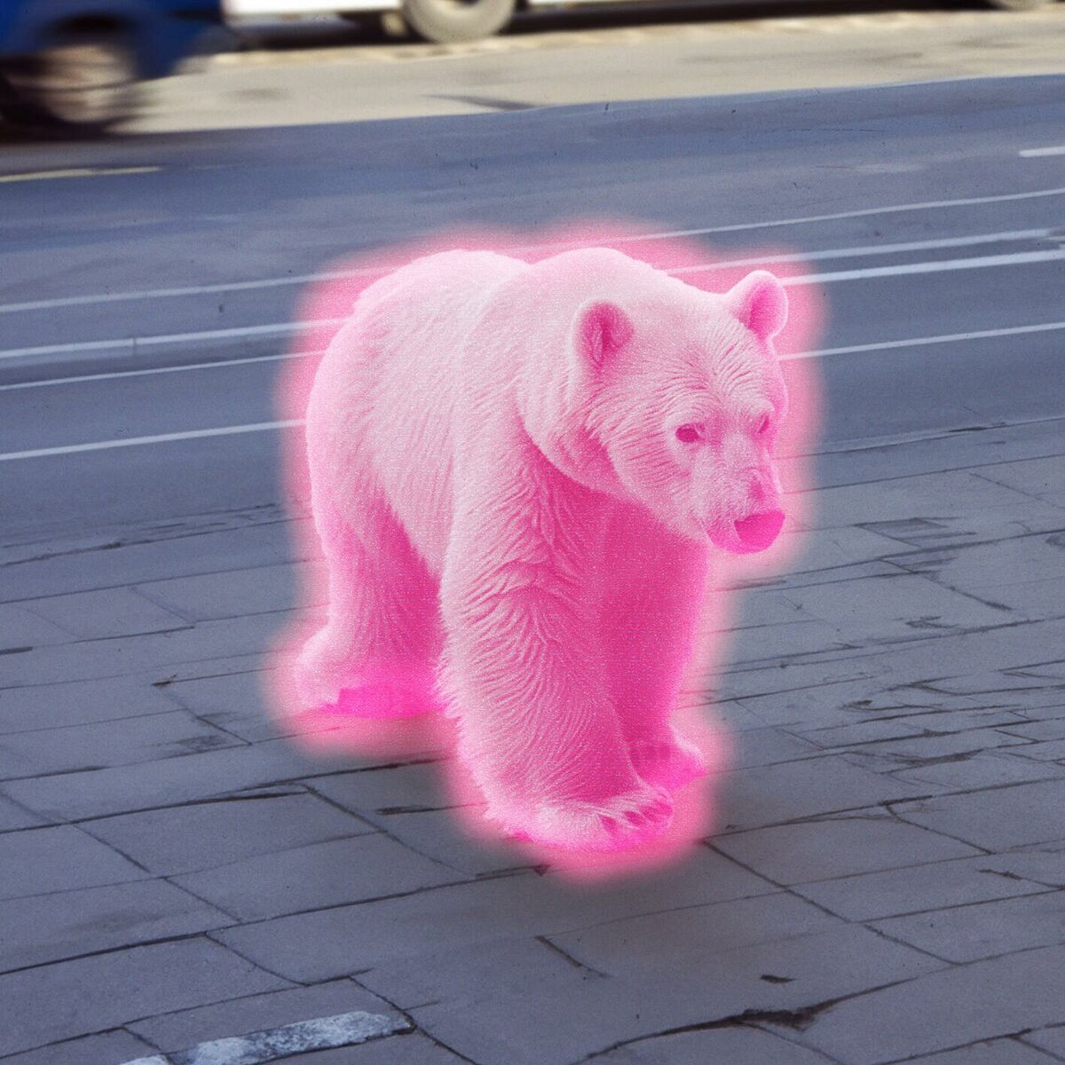 Album cover of Xtrapolar