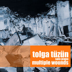 Cover of Multiple Wounds