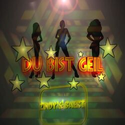 Cover of Du bist geil