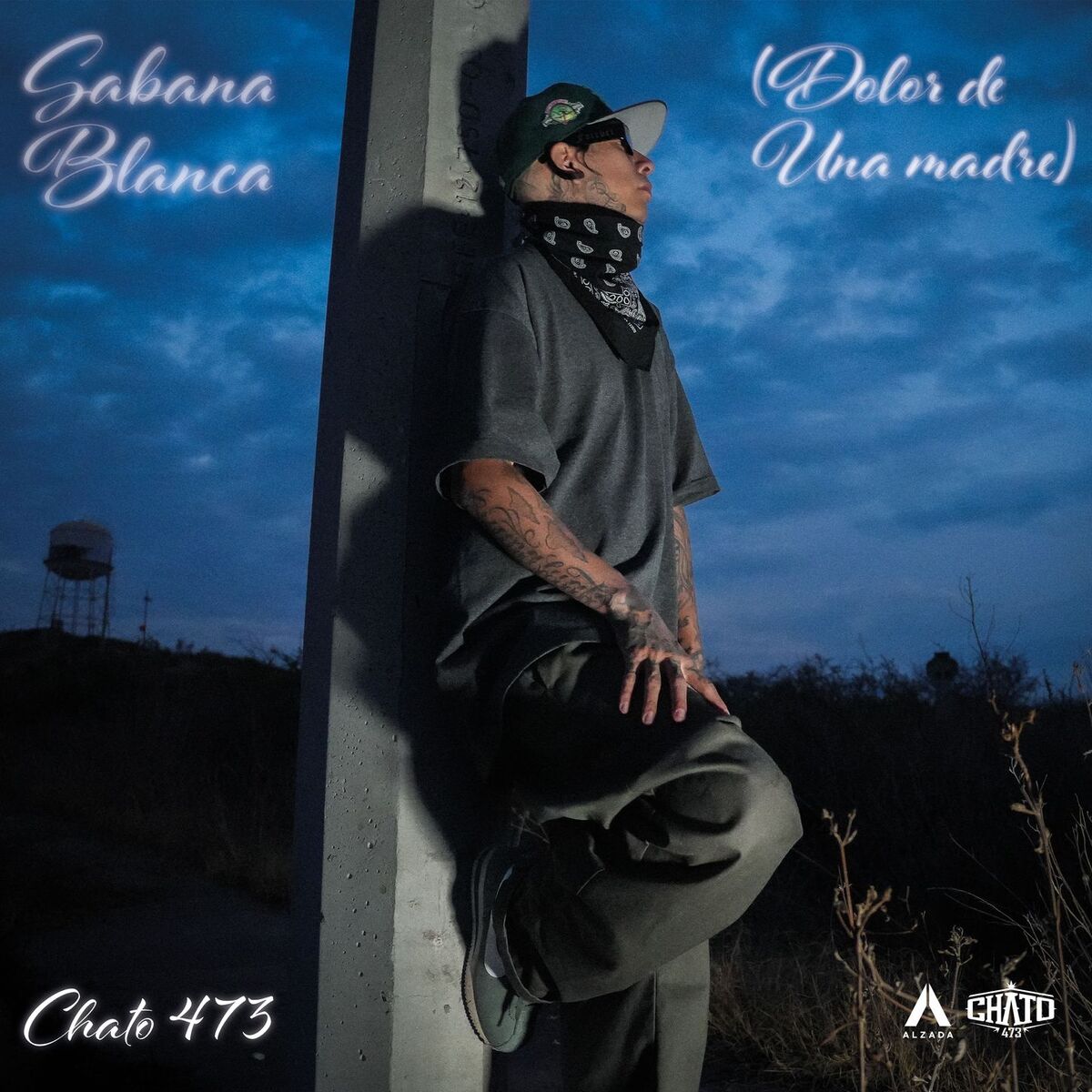 Album cover of Sábana Blanca (Dolor de una Madre)