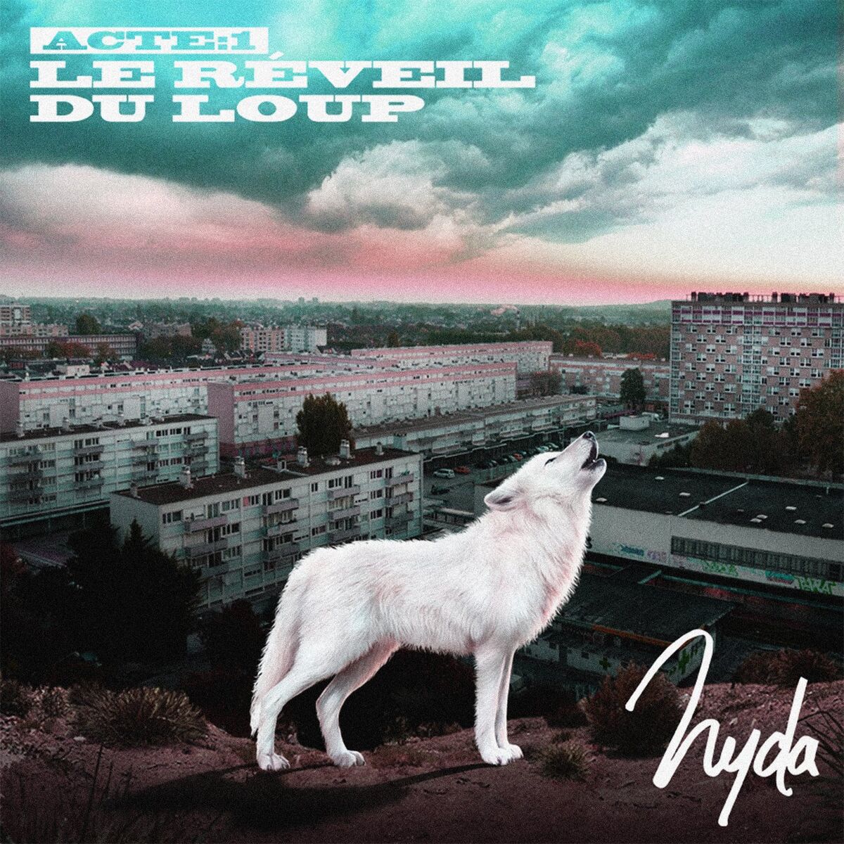 Album cover of No no