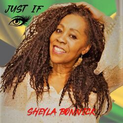 Cover of Just If