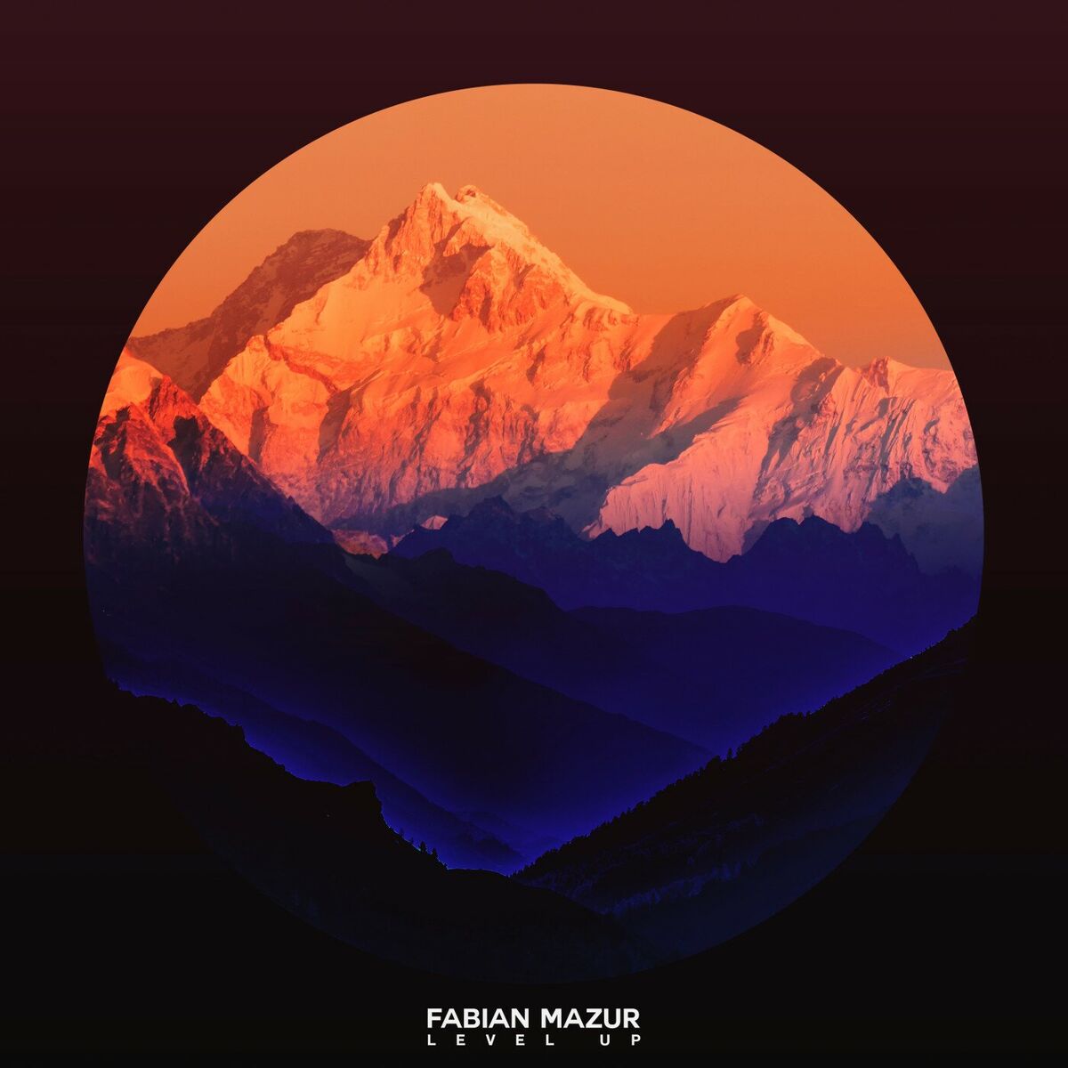 Album cover of Level Up