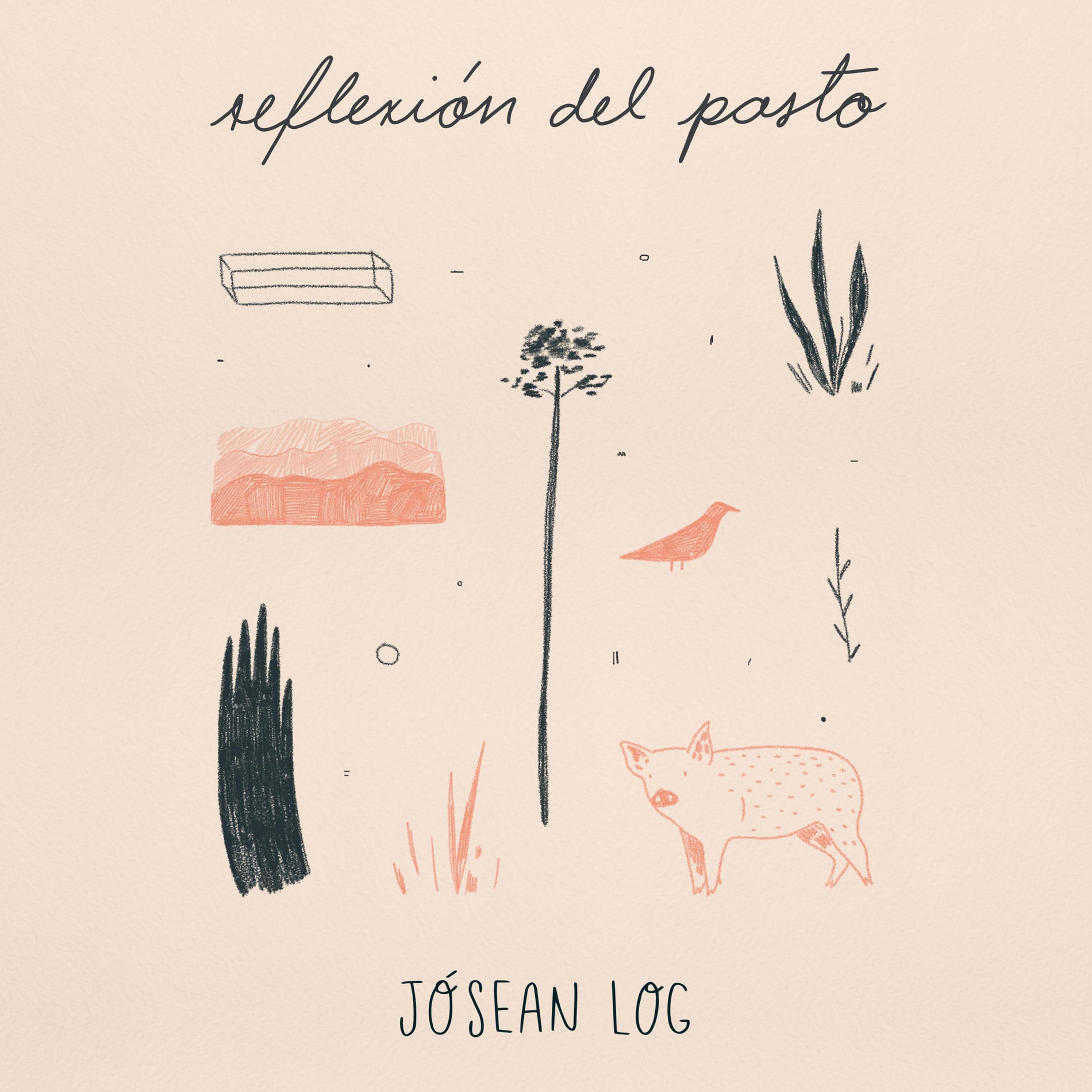 Album cover of Reflexión del Pasto