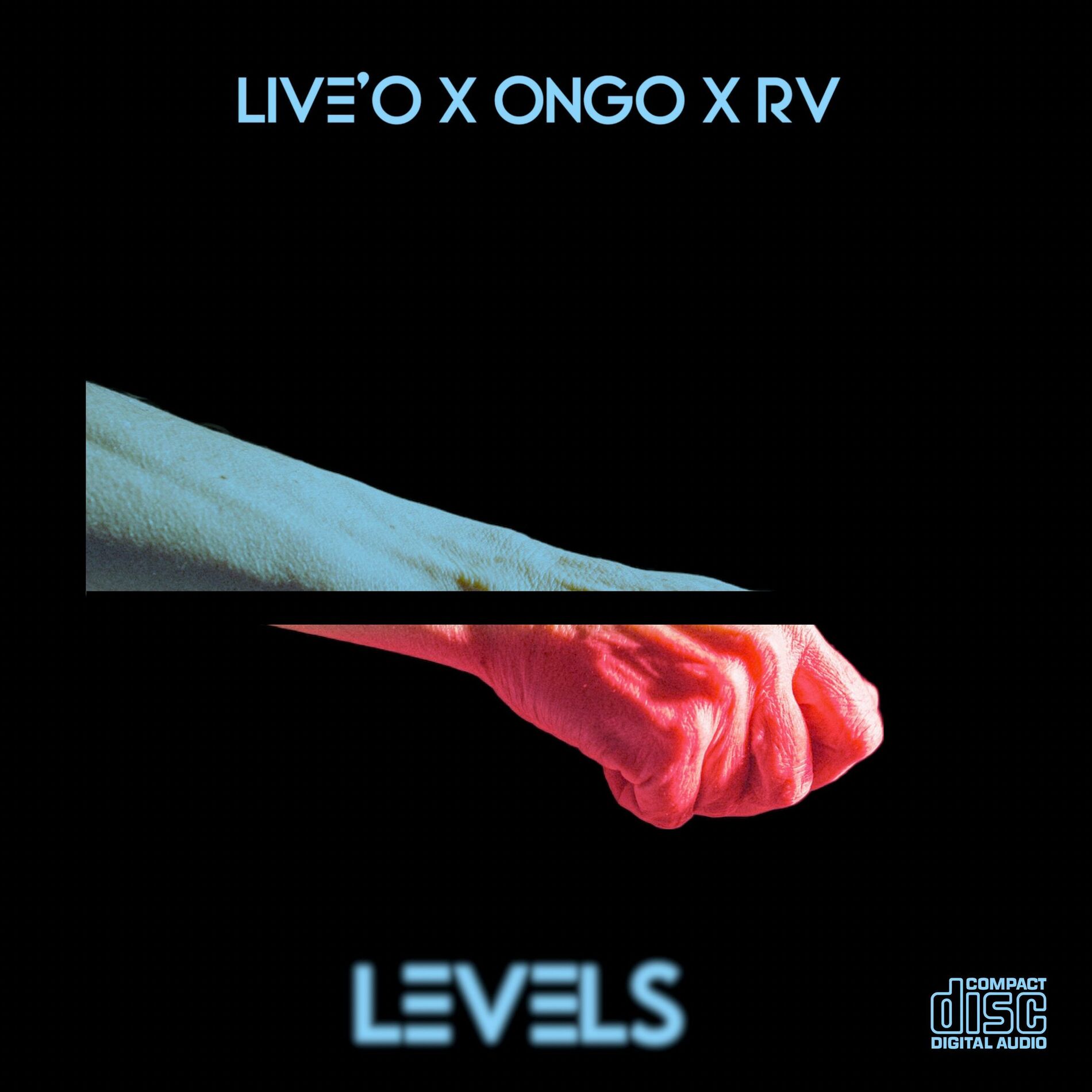 Album cover of Levels (feat. RV & ONGO)