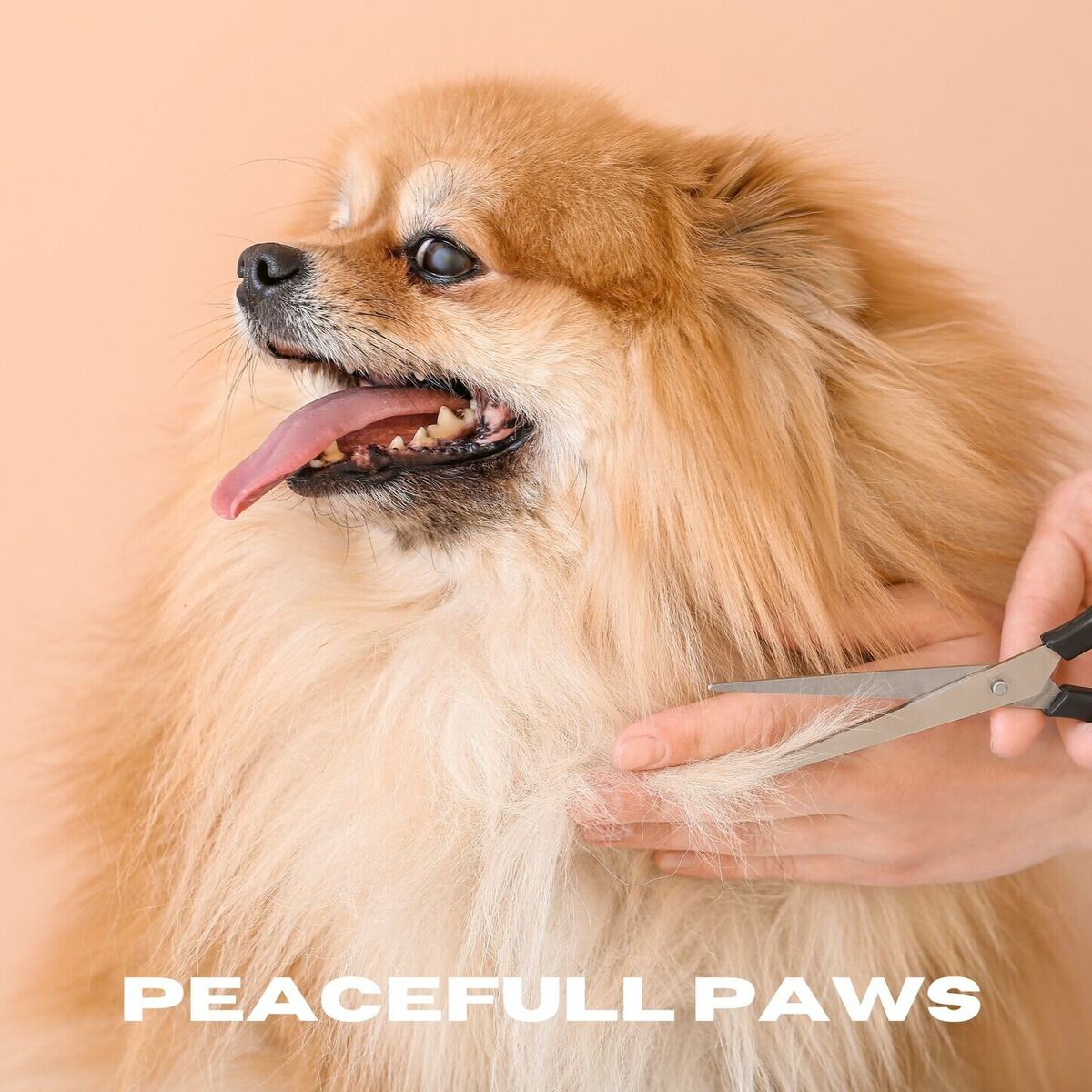 Album cover of Peaceful Paws