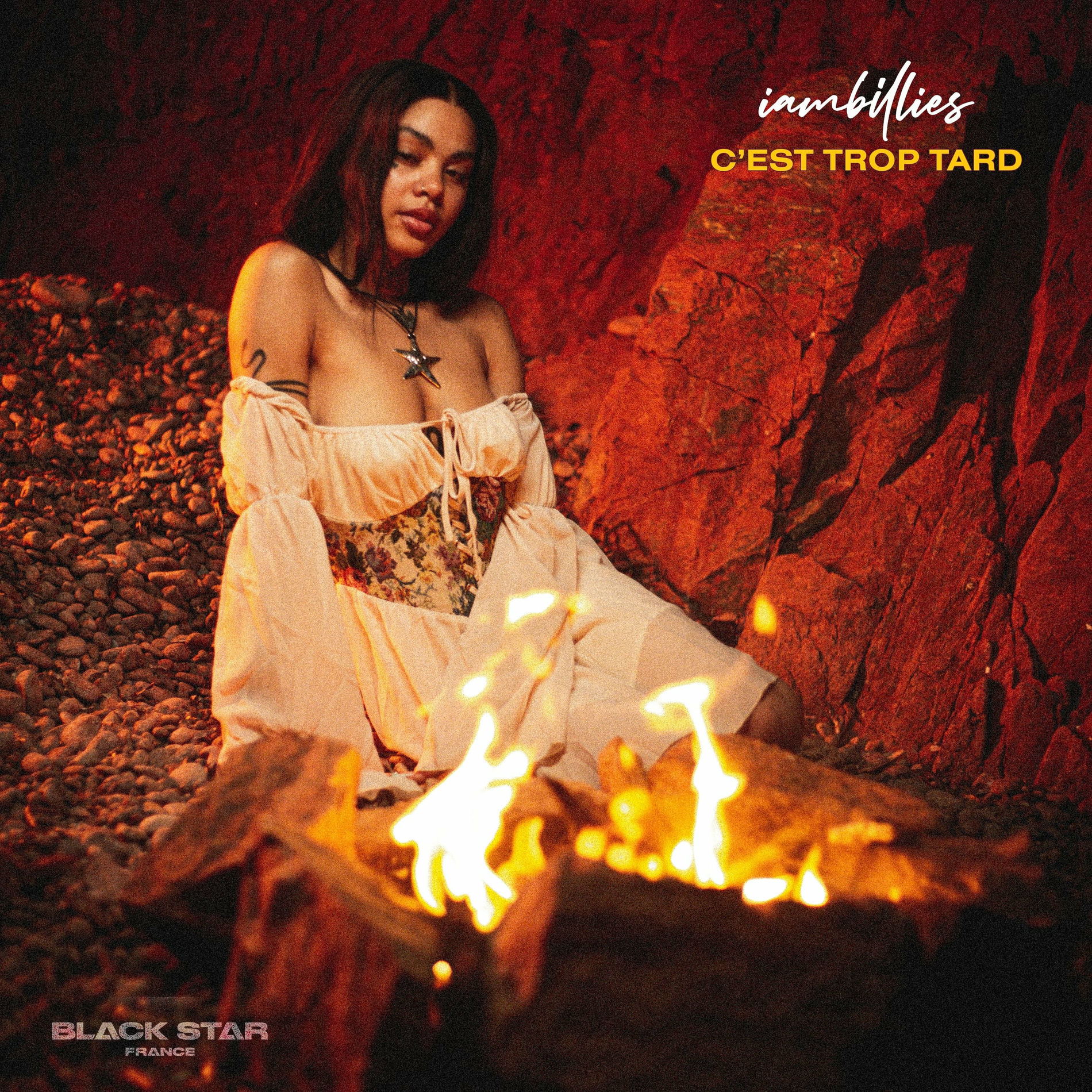 Album cover of C'est trop tard