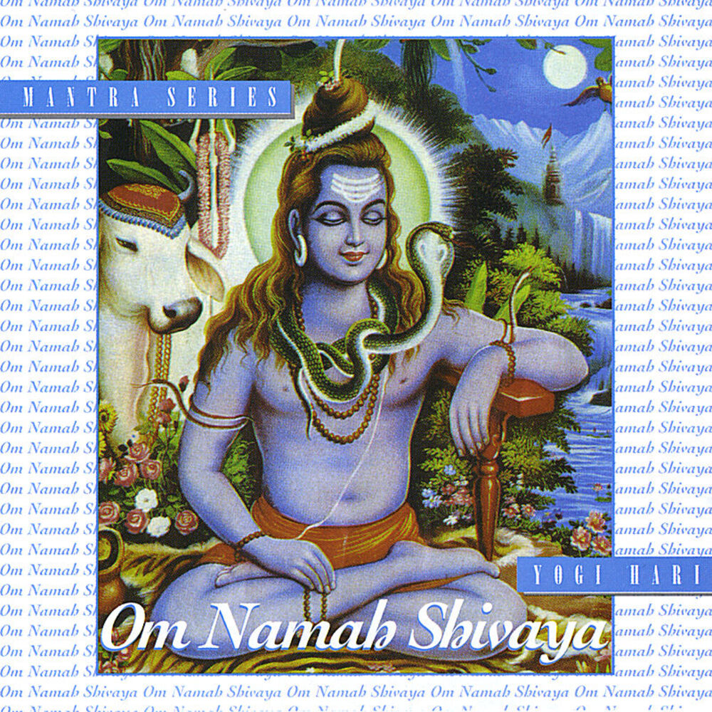 Picture of Om Nama Shivaya