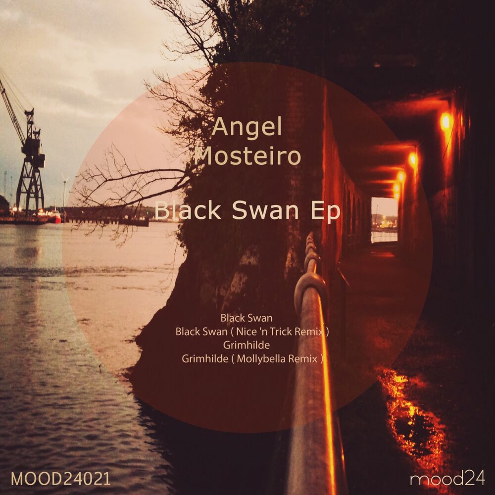 Picture of Black Swan EP
