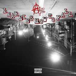 Cover of Learning How To Fall