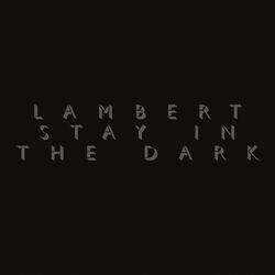 Cover of Stay In The Dark