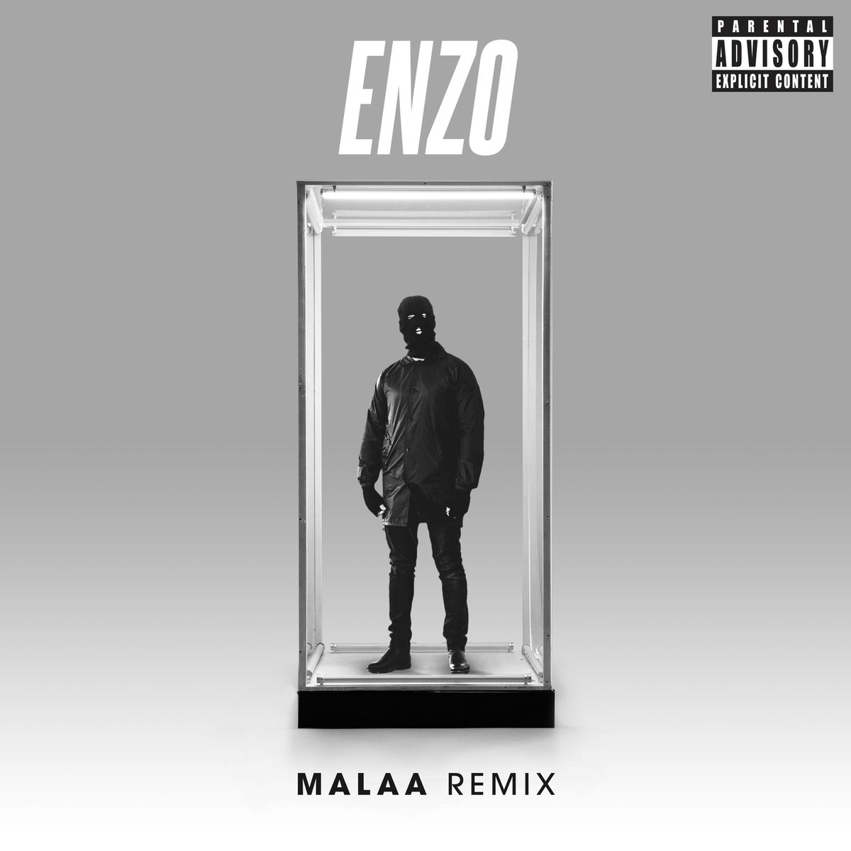 Album cover of Enzo