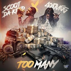 Cover of Too Many