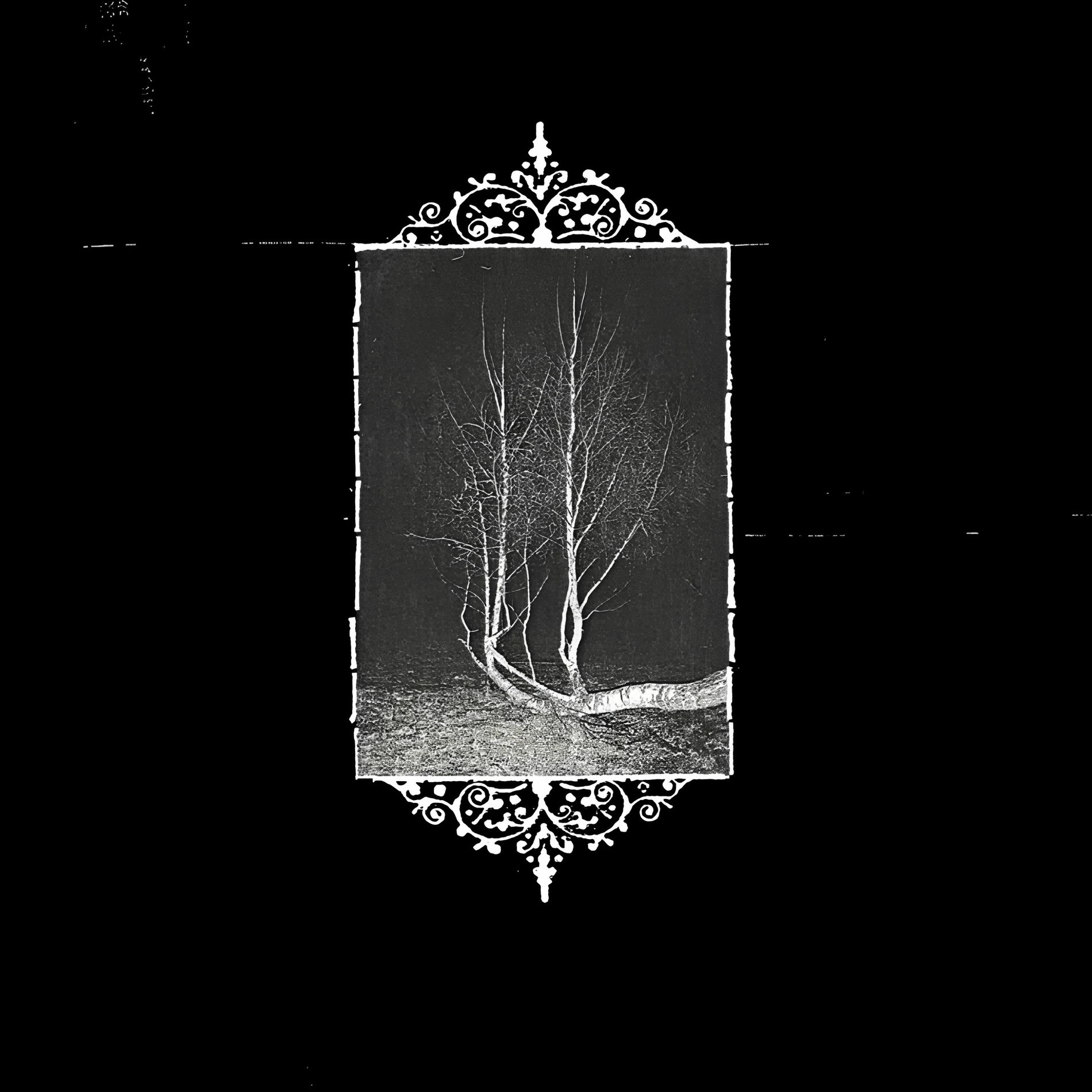 Album cover of requiem