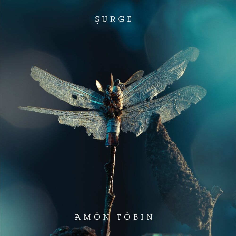 Picture of Surge