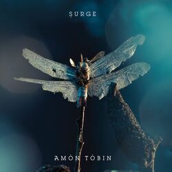 Cover of Surge