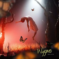 Cover of Whatyougotmeon