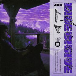 Cover of indecisive