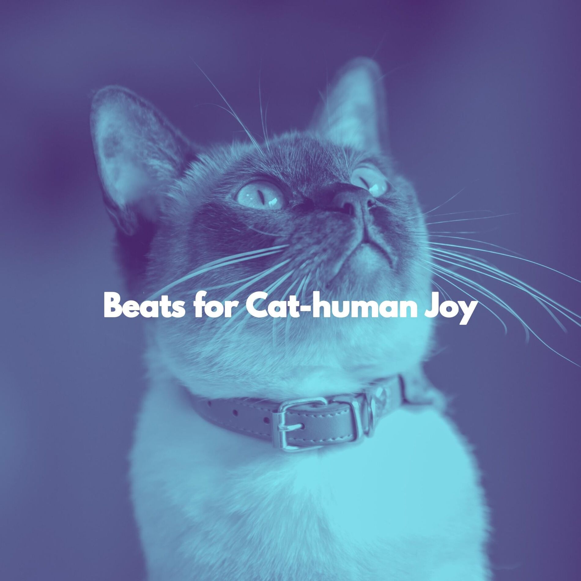 Album cover of Wonderful City Ballads