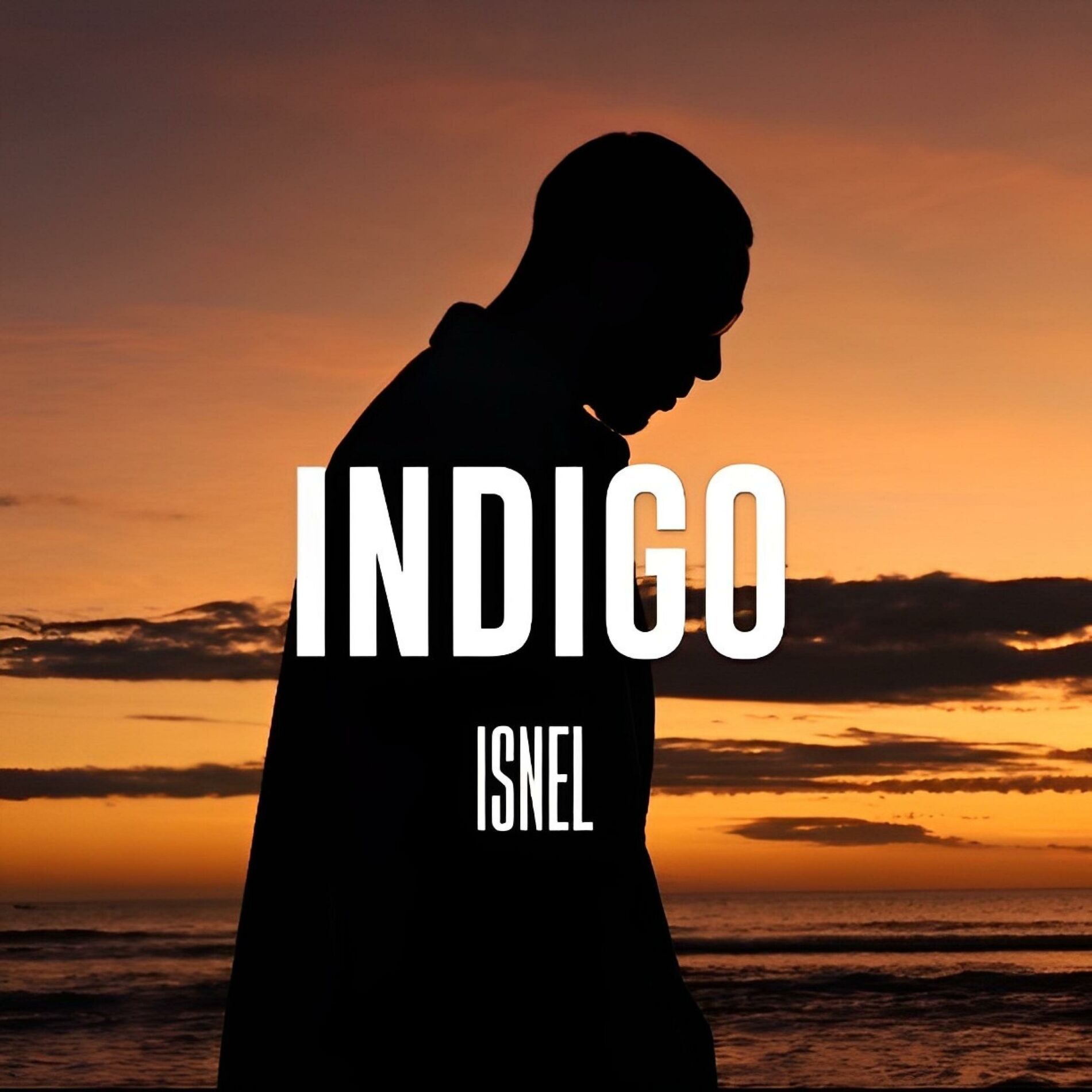 Album cover of Indigo