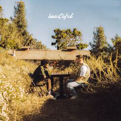 Cover of Beautiful