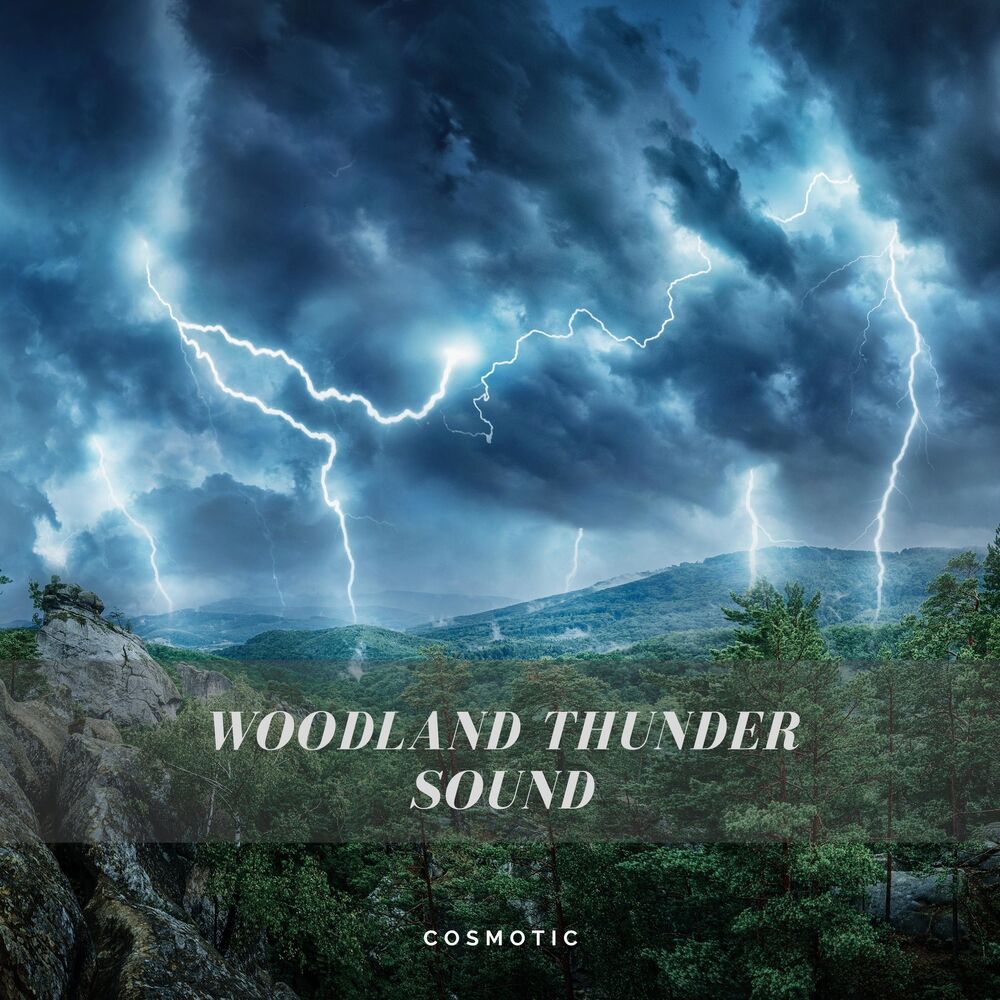Picture of Woodland Thunder Sound