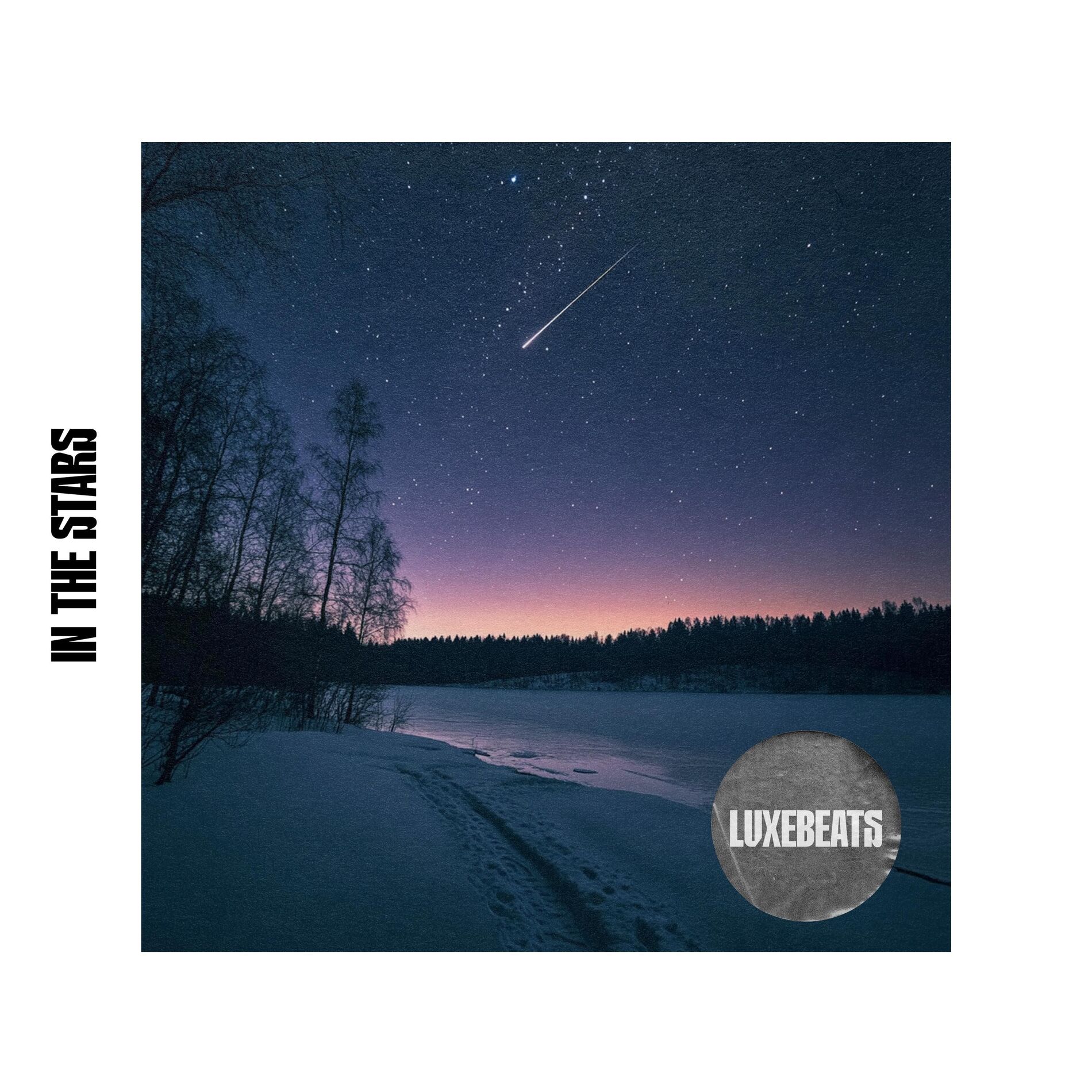 Album cover of In The Stars