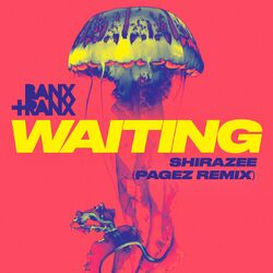 Cover of Waiting (PAGEZ Remix)
