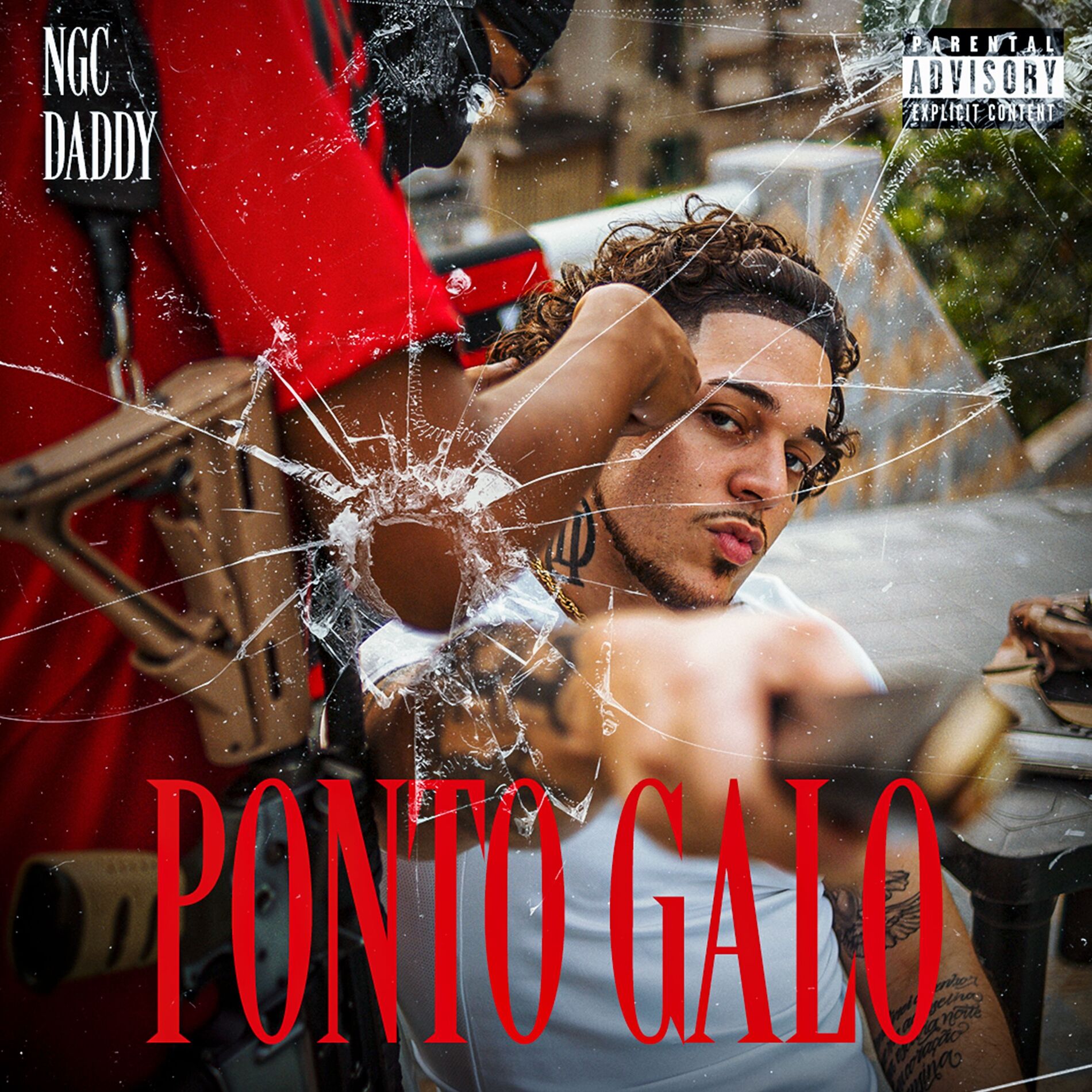 Album cover of Ponto Galo