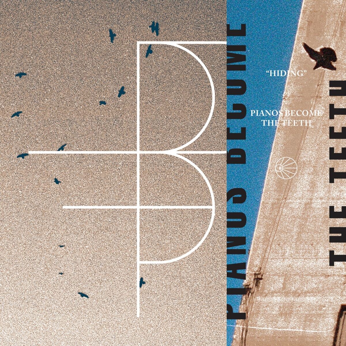 Album cover of Hiding