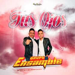 Cover of Tus Ojos