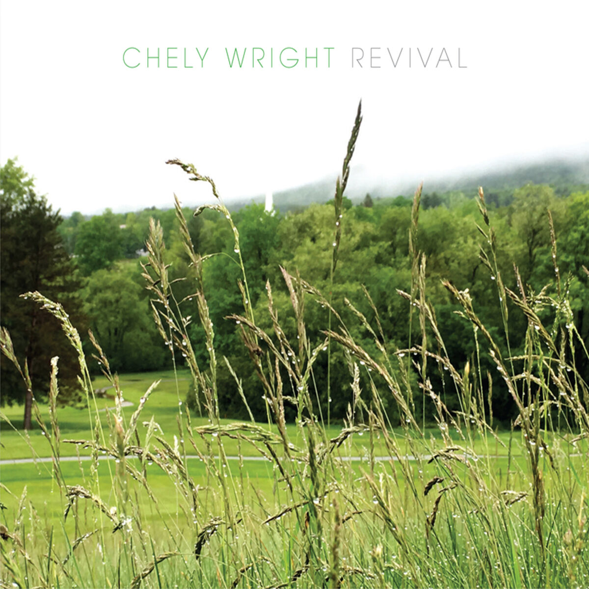 Album cover of Revival