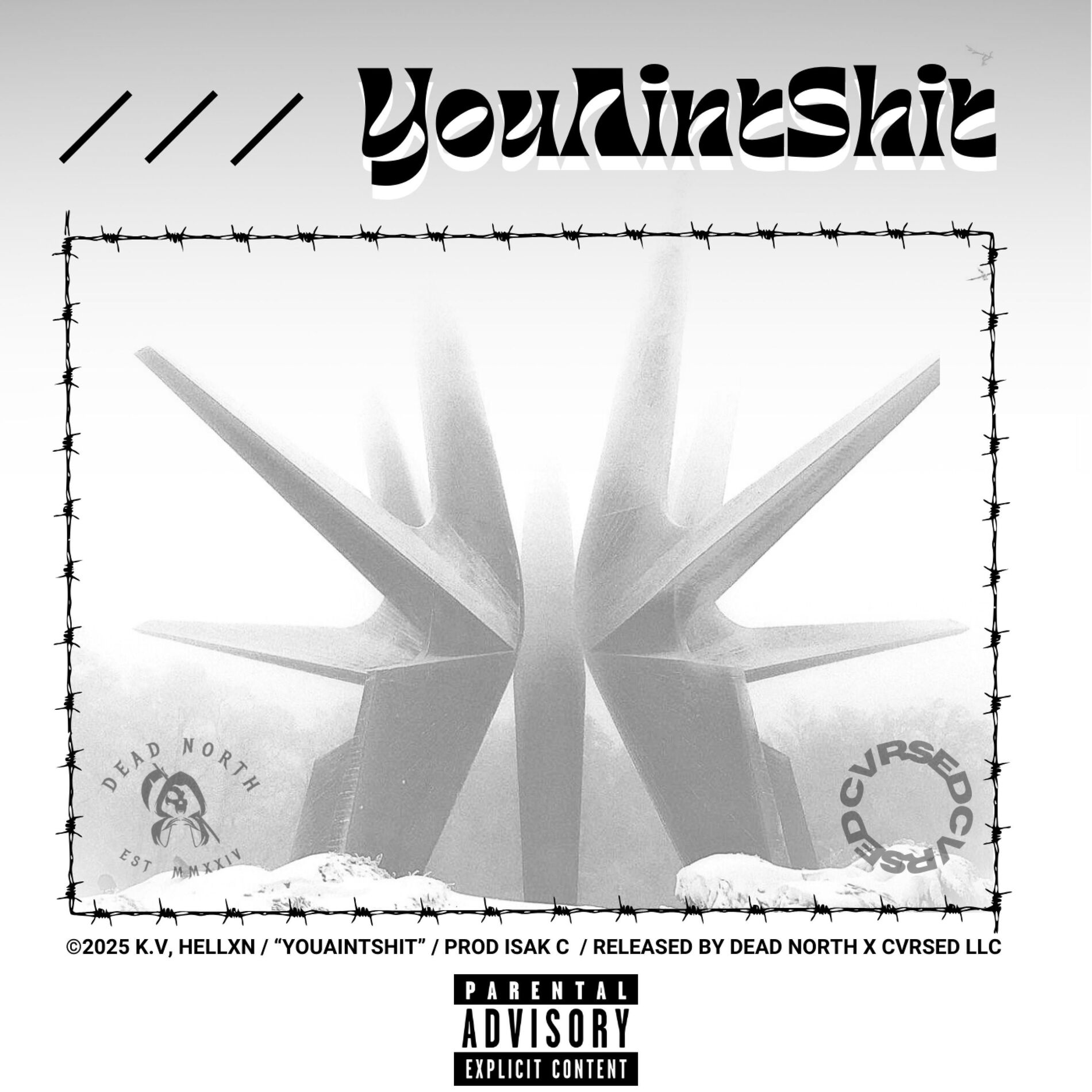 Album cover of YouAintShit (feat. Hellxn)