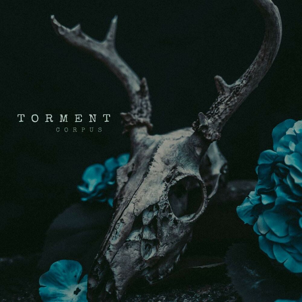 Picture of Torment