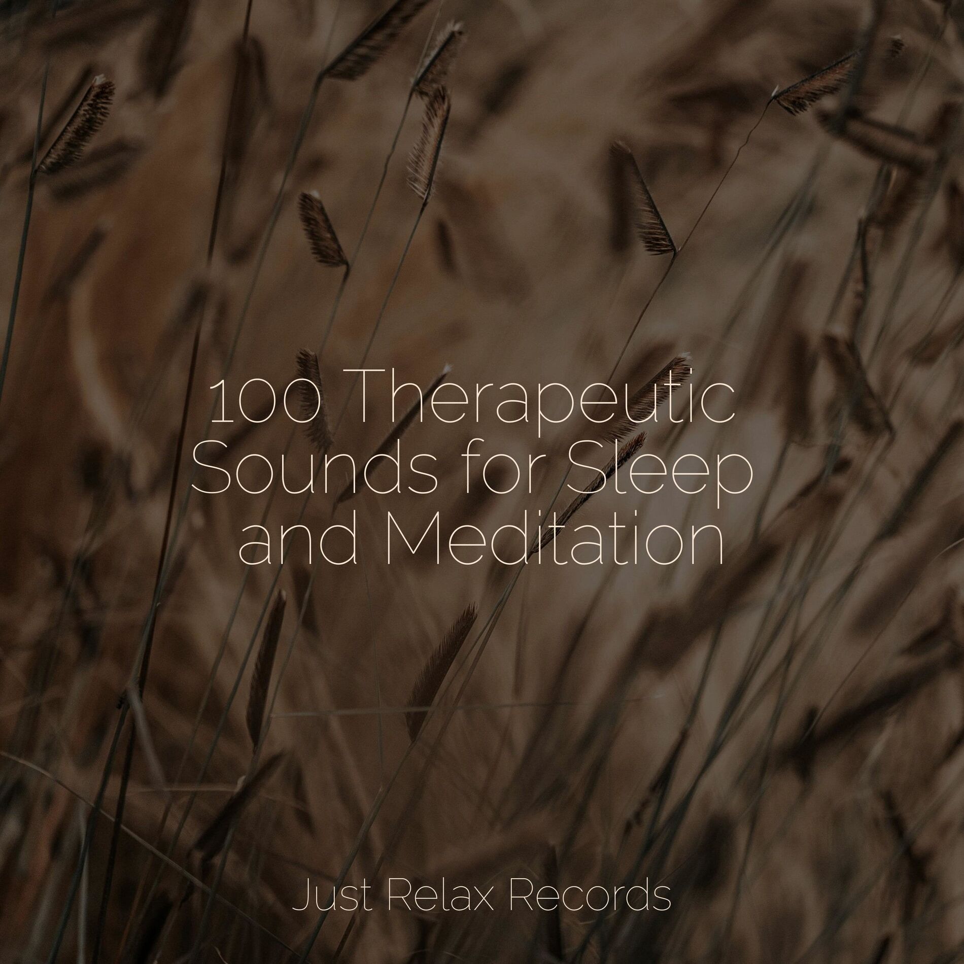Album cover of 100 Therapeutic Sounds for Sleep and Meditation