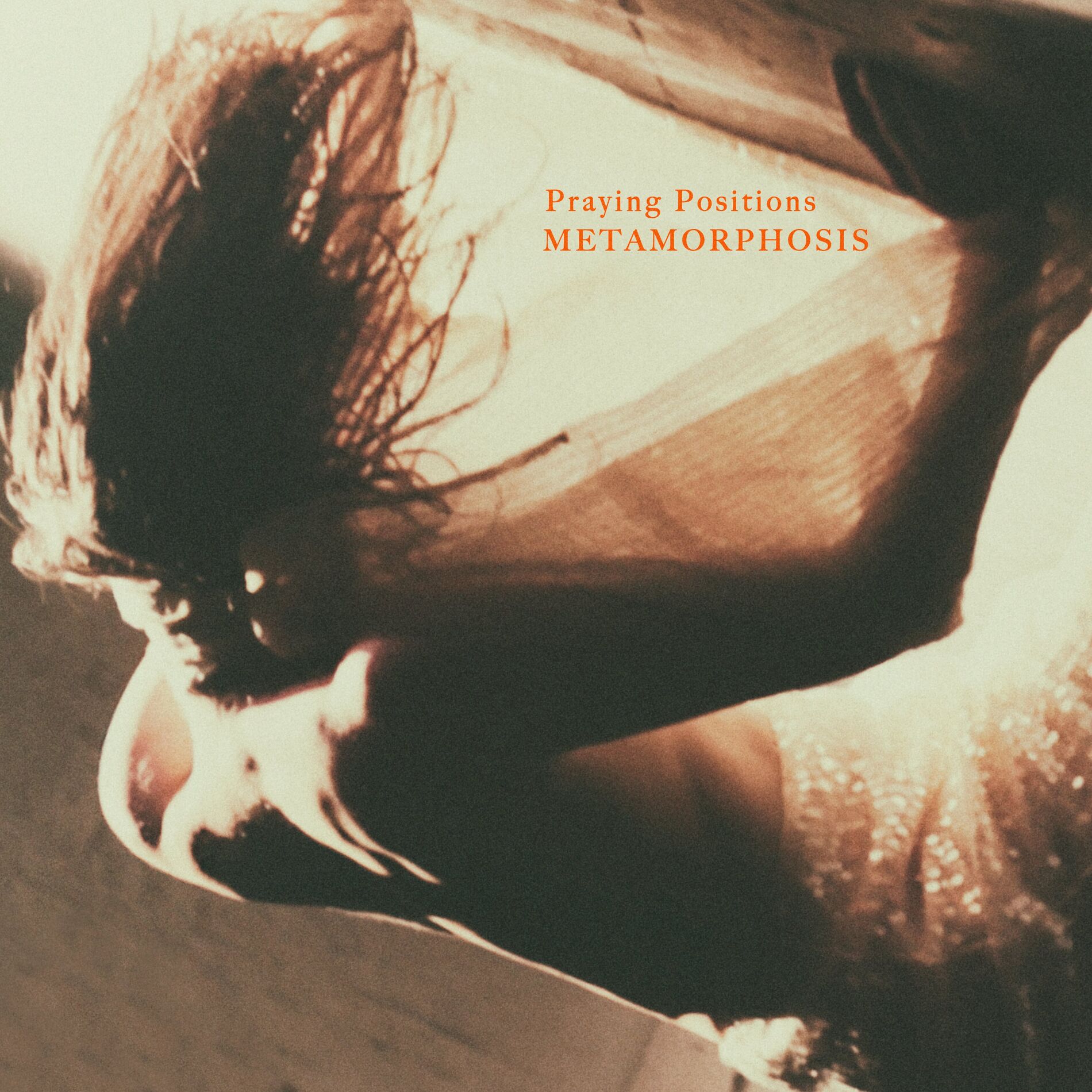 Album cover of Praying Positions . Metamorphosis