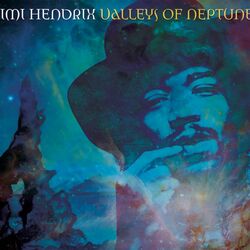 Cover of Valleys Of Neptune