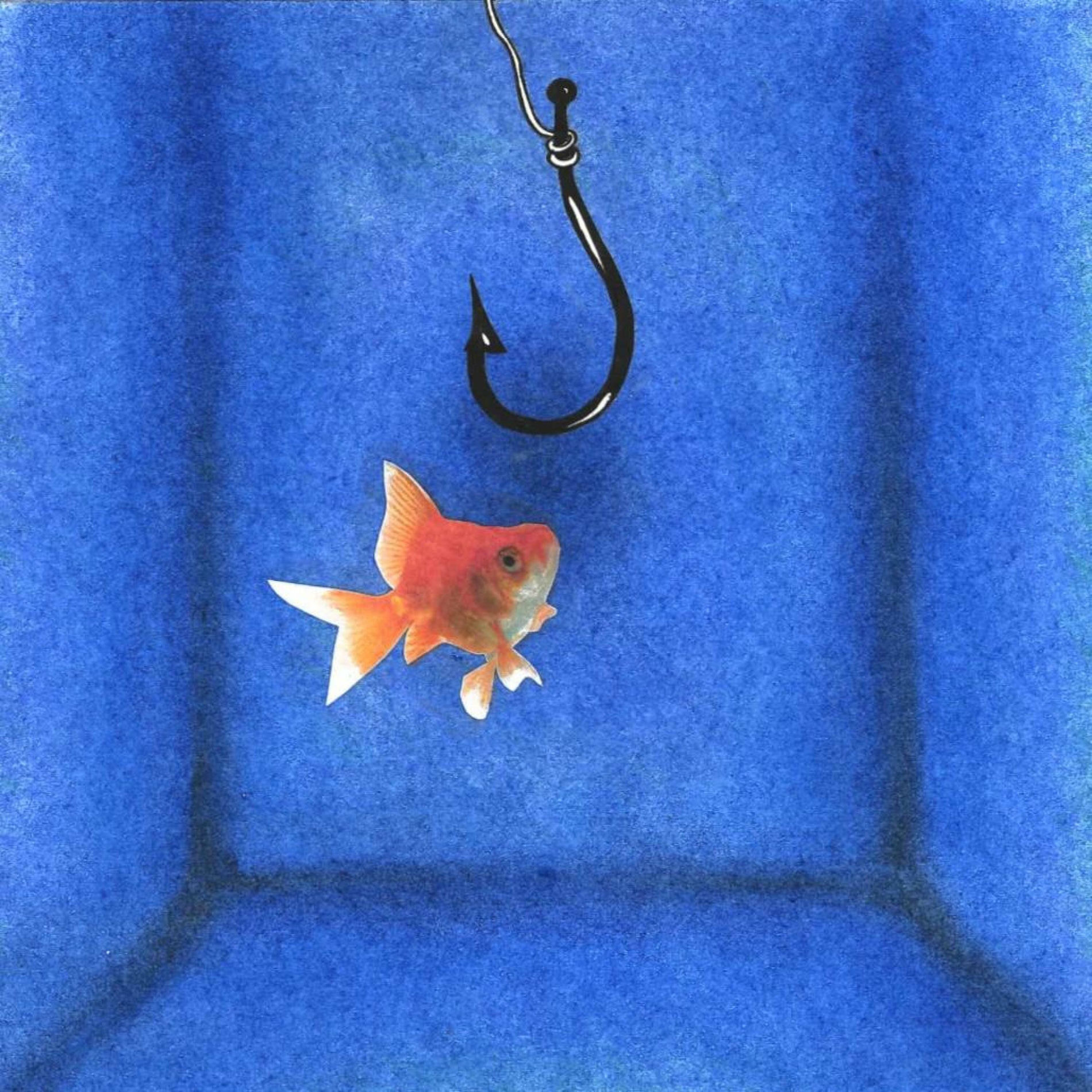 Album cover of Fish 'n' the Hook
