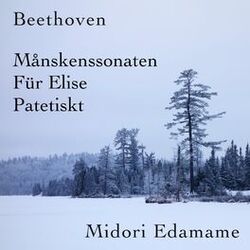 Cover of Beethoven: Månskenssonaten / Für Elise / Patetiskt