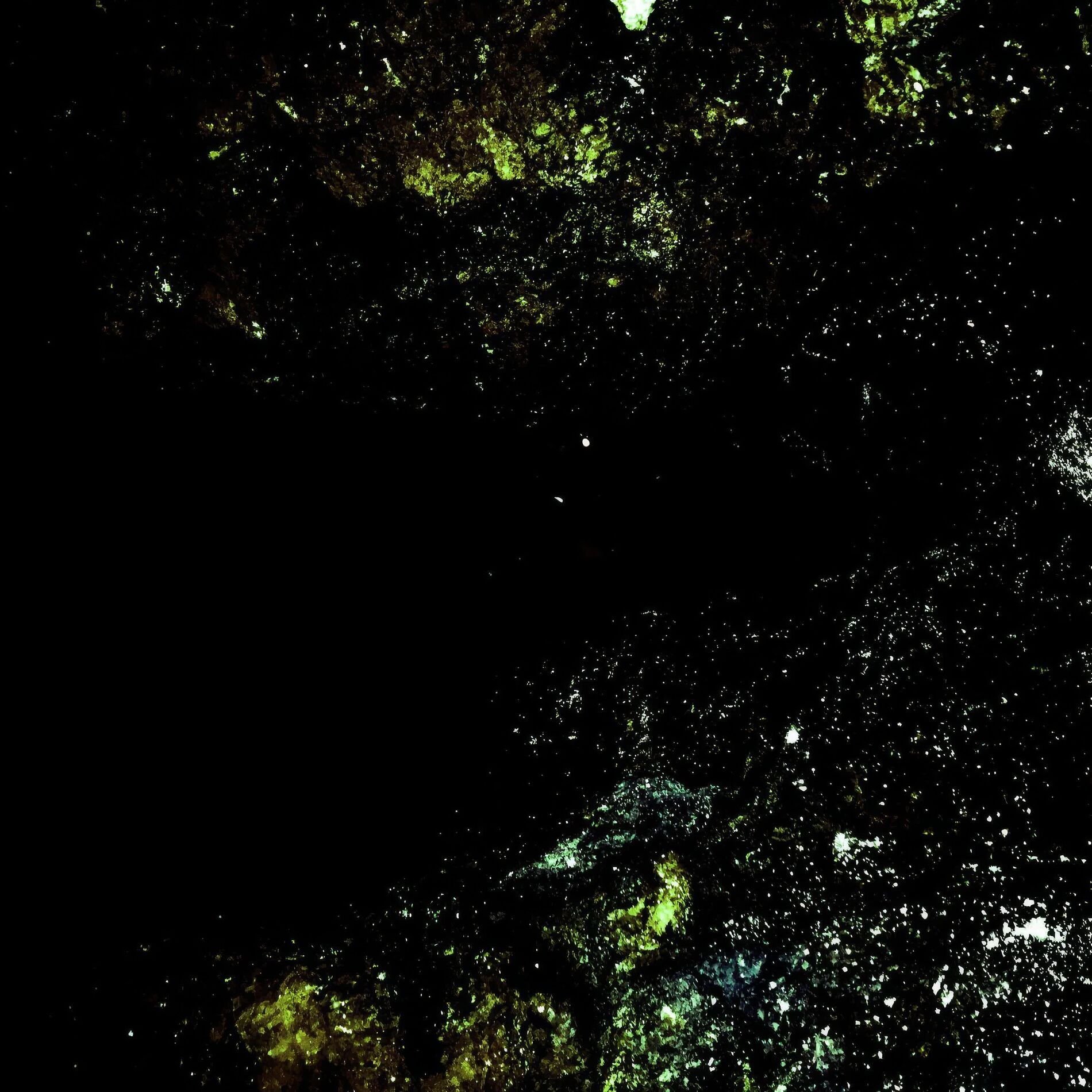 Album cover of Subtitles