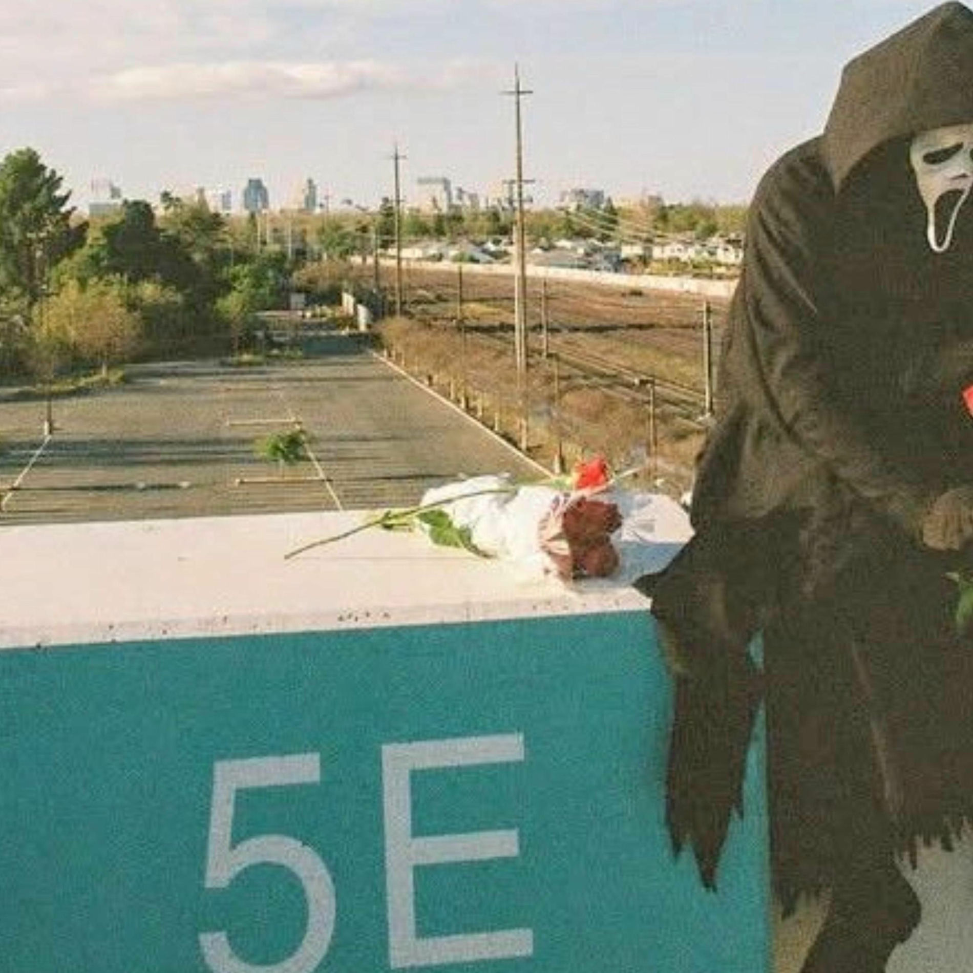 Album cover of Born to Shine (feat. Alaina Castillo)