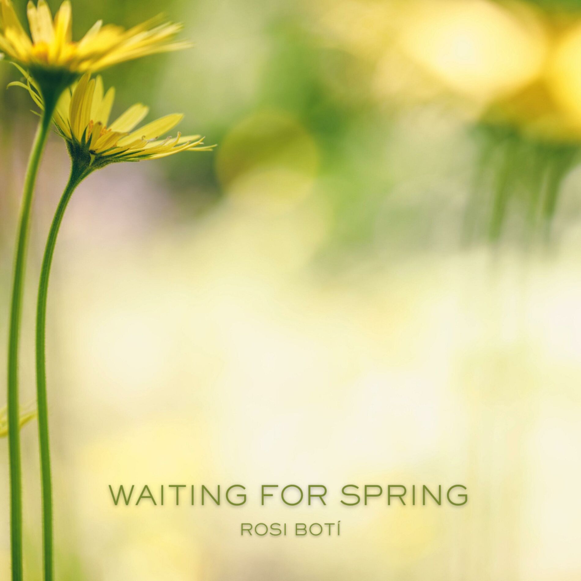 Album cover of Waiting For Spring