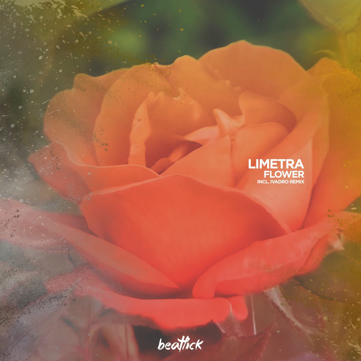 Album cover of Flower