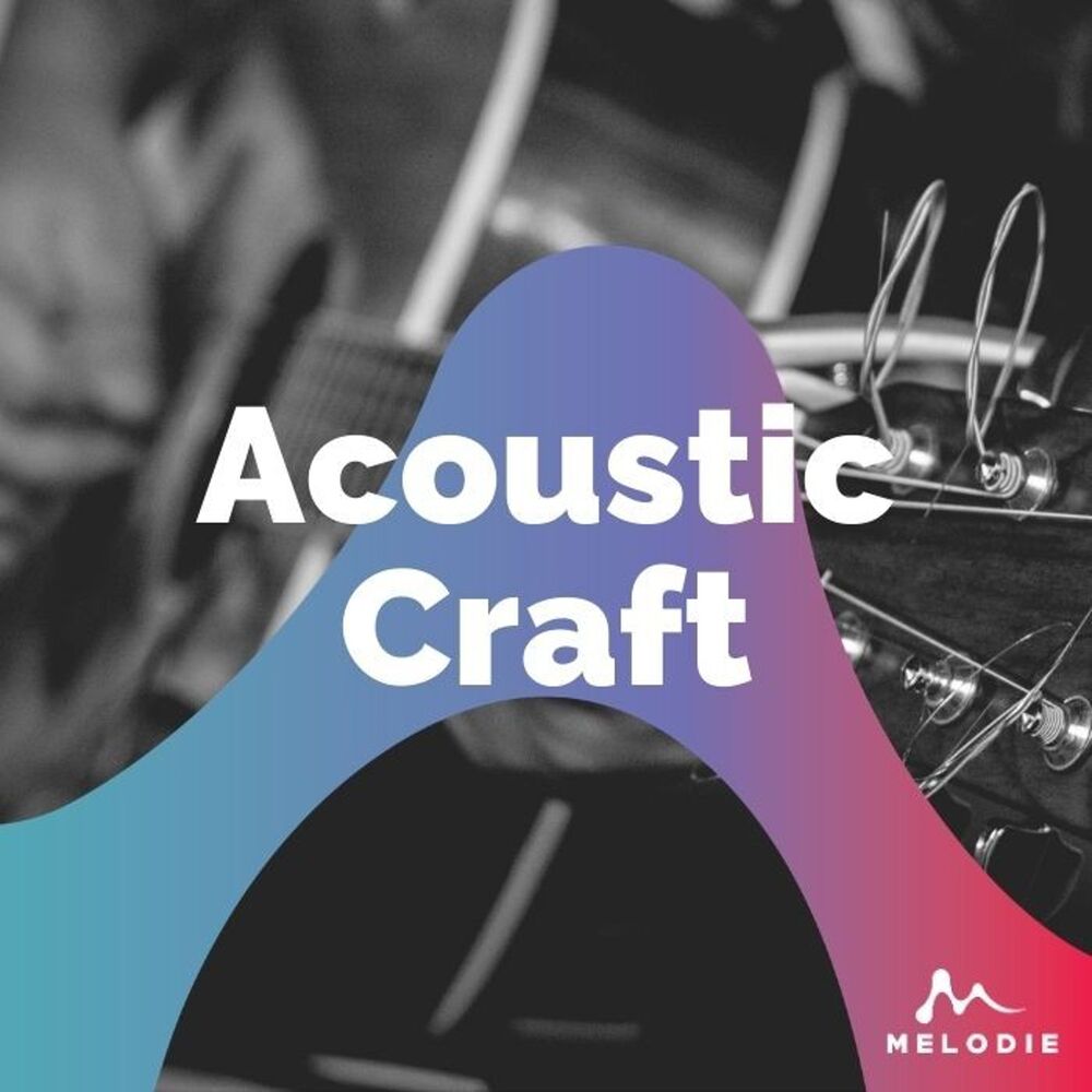 Picture of Acoustic Craft